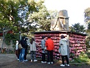 江島神社　辺津宮（へつみや）良縁を招く御神木「むすびの樹」