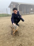 ワラビー