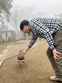 ちっさいワラビー