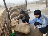 かぴばら　なでなで