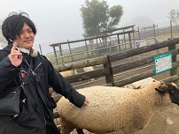 ヒツジ　イエーイ