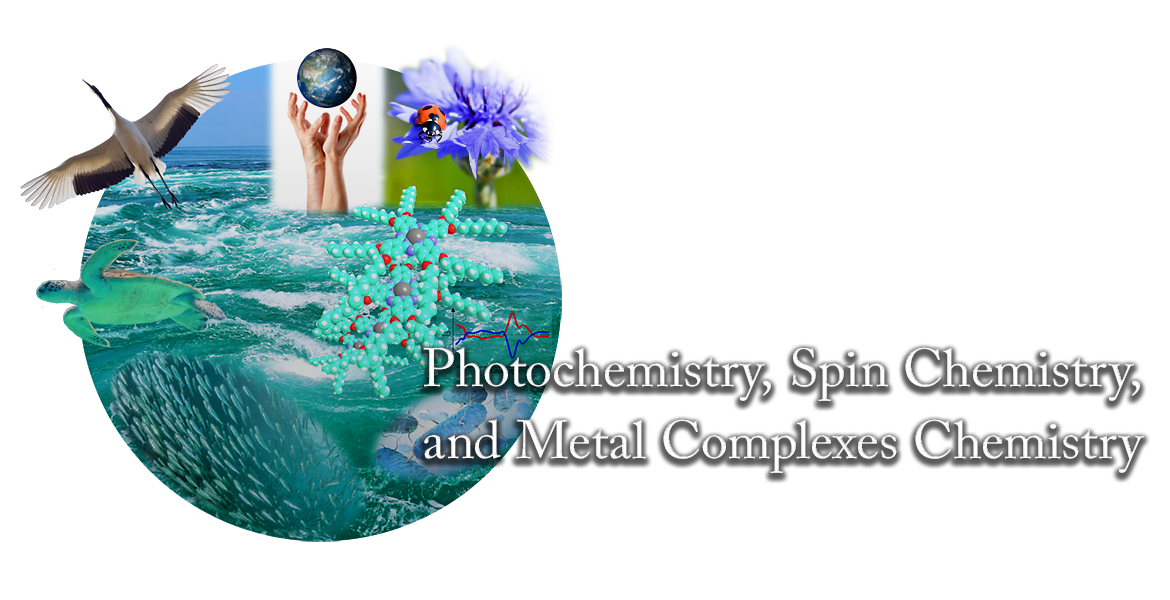 Photochemistry, Chemistry, and Metal Complexes Chemistry