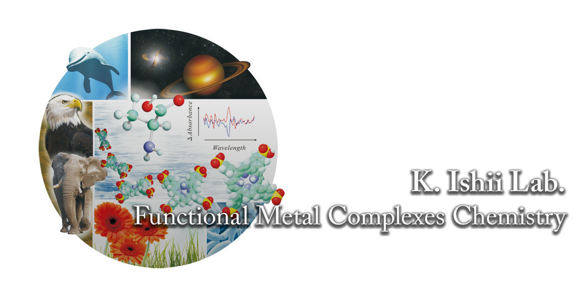 K Ishii Lab. | Functional Metal Complexes Chemistry