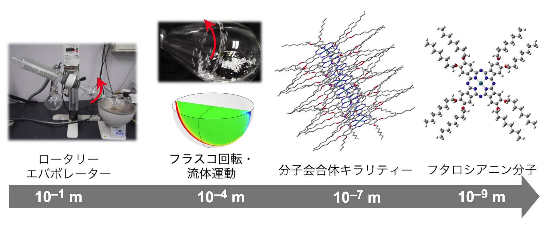ロータリーエバポレーター、流体運動、フタロシアニン分子会合体構造などの大きさの比較