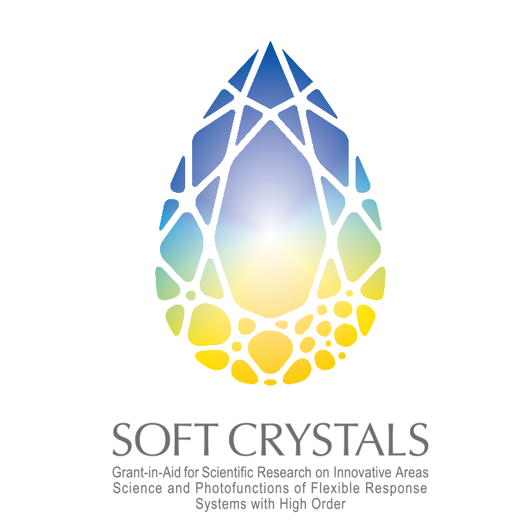 SOFT CRYSTALS